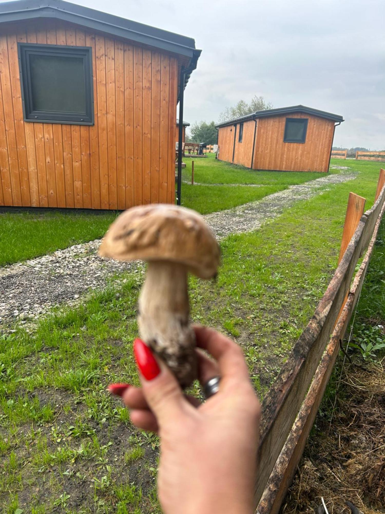 Hotel Zacisze Obok Suntago Park à Grabce-Towarzystwo Extérieur photo